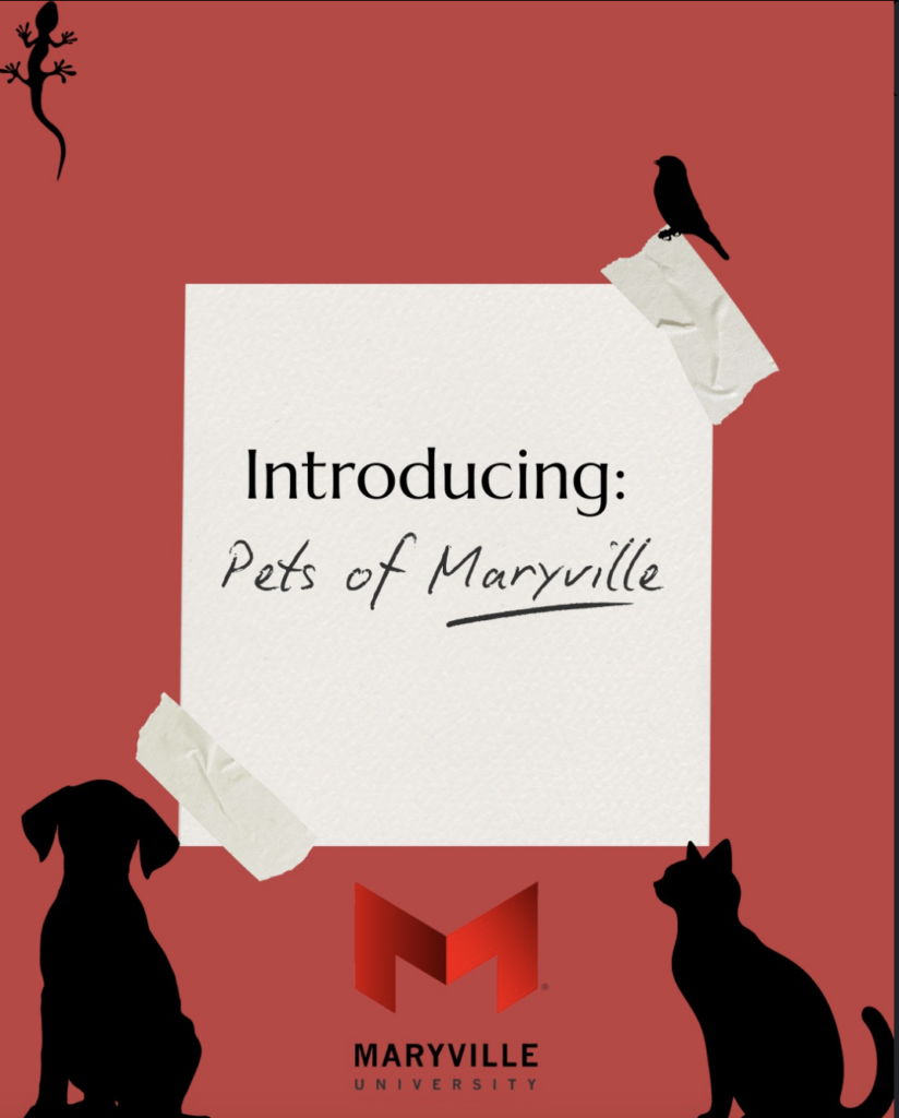 This image has an empty alt attribute; its file name is Screenshot-2025-10-21-at-12.02.36-PM-1-824x1024.png